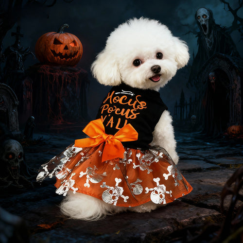 Halloween Skull Pet Costume